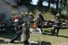 DSC_1006.jpg