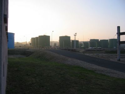 IMG_2536.jpg