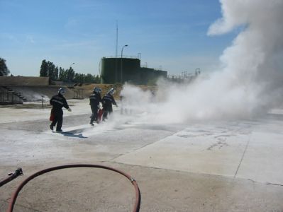 IMG_2594.jpg