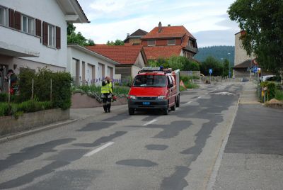 DSC_0062.jpg