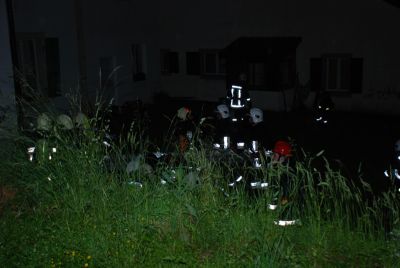 DSC_0230.jpg