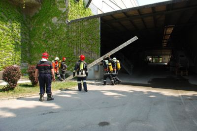 DSC_0044.jpg